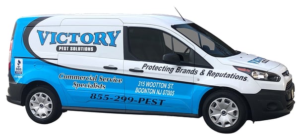 Images Victory Pest Solutions