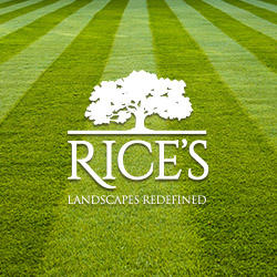 Rice's Logo