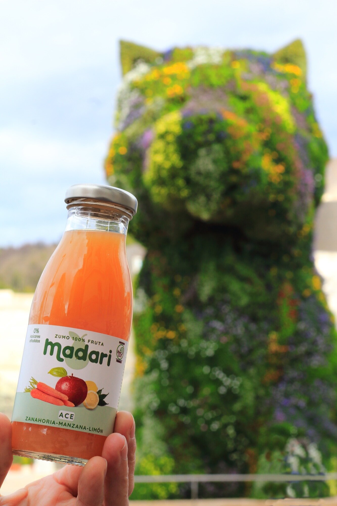 Images Madari