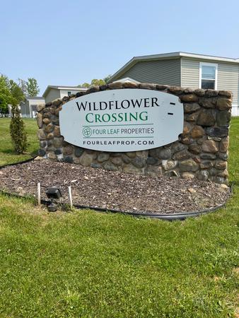 Images Wildflower Crossing