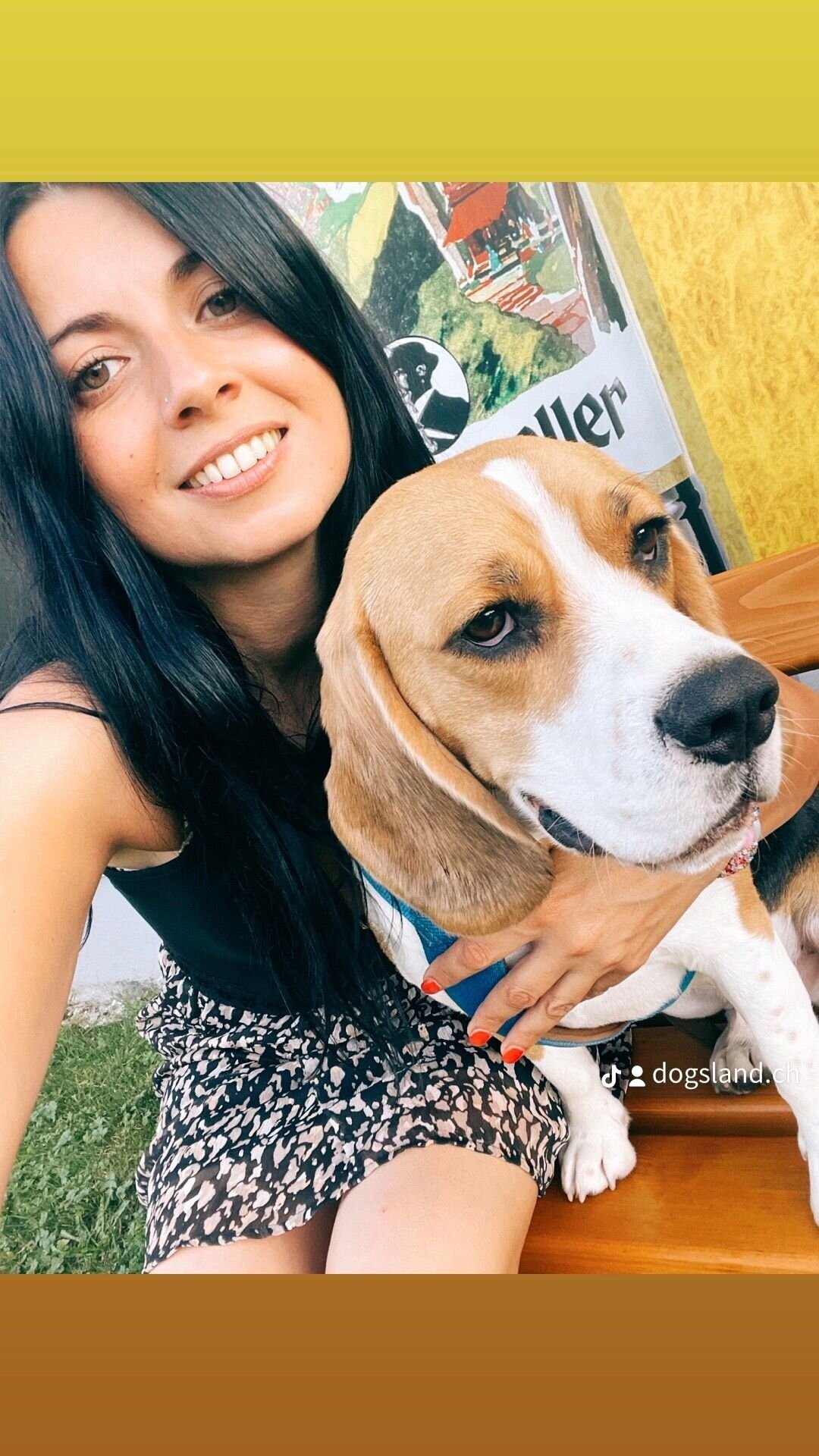 Bilder Beagleszucht Appenzell