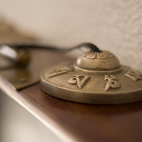 MEDASIA, Lindauring 2 in Rothenburg