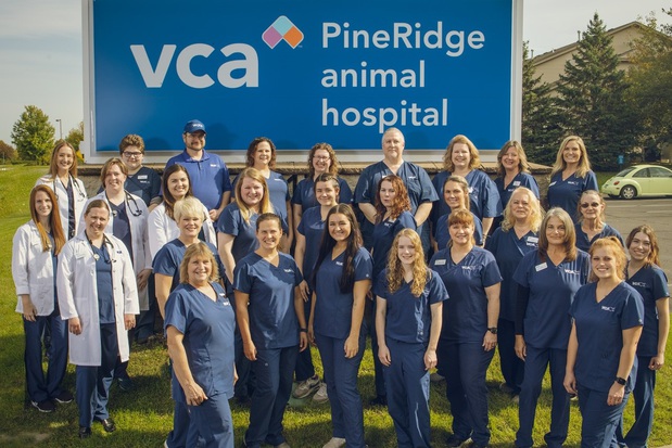 Images VCA PineRidge Animal Hospital
