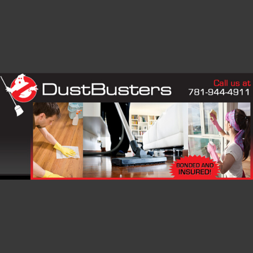 DustBusters Company INC Logo
