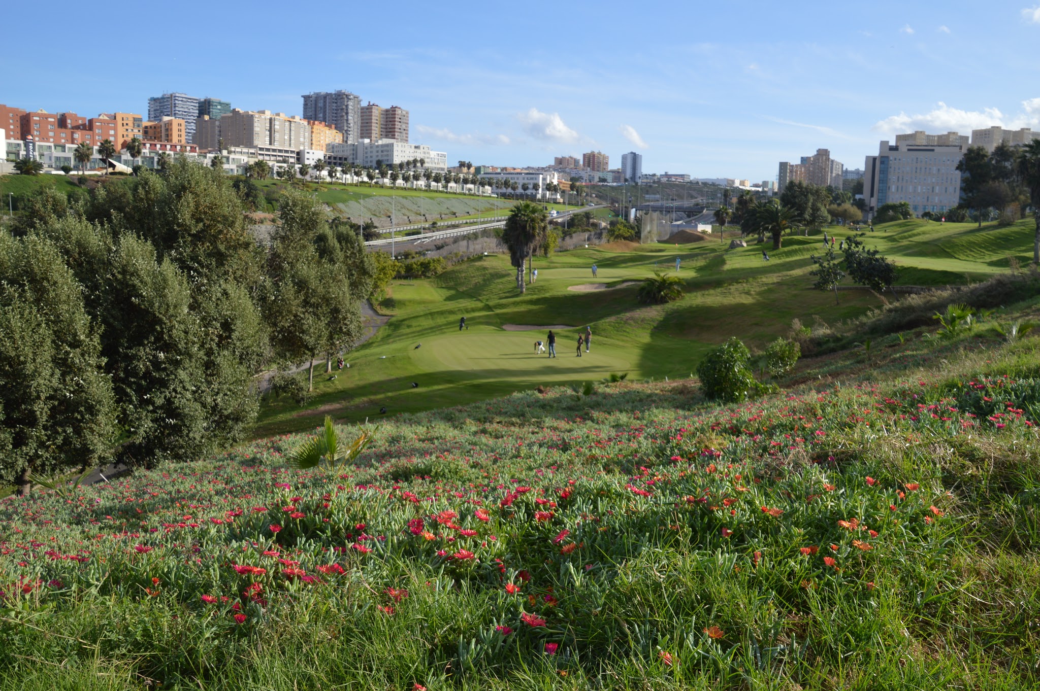 Images Playgolf rendimiento deportivo y salud