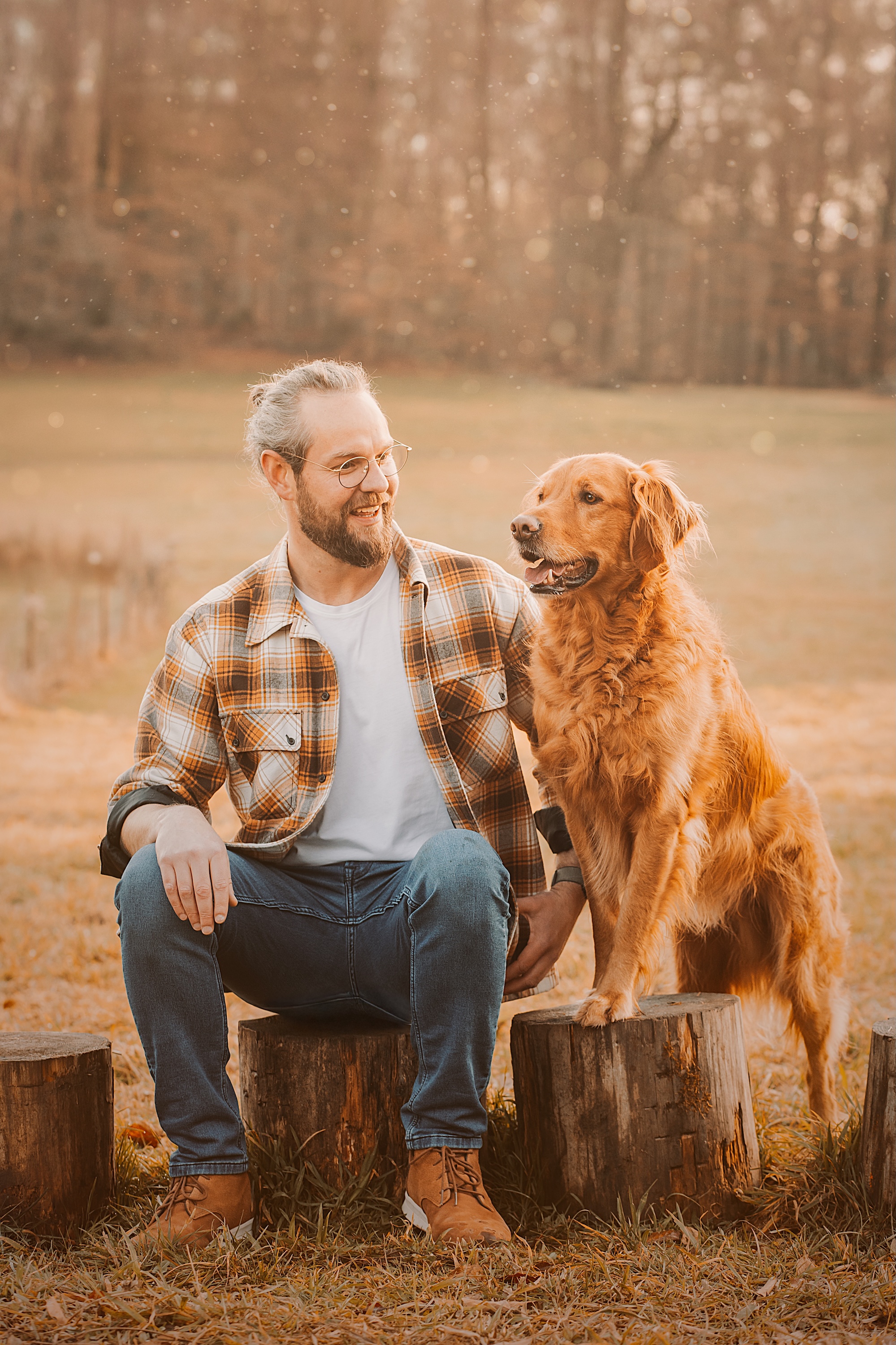Bild 6 Hundeschule Schussenpfoten in Ravensburg