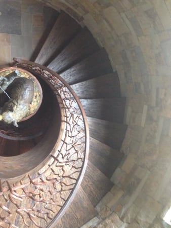 Images Mountain Impressions Hardwood Floors