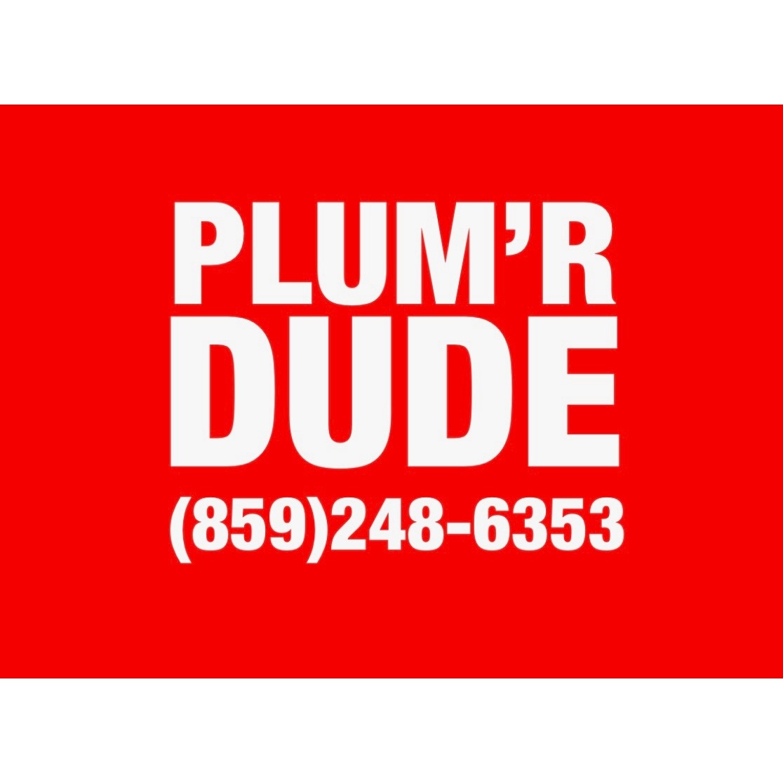 Plum'r Dude Logo