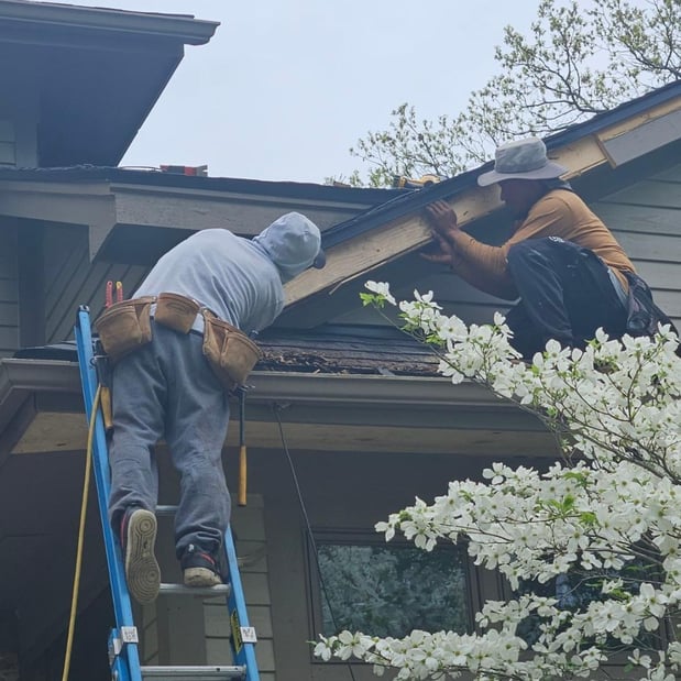 Images The Roof Company