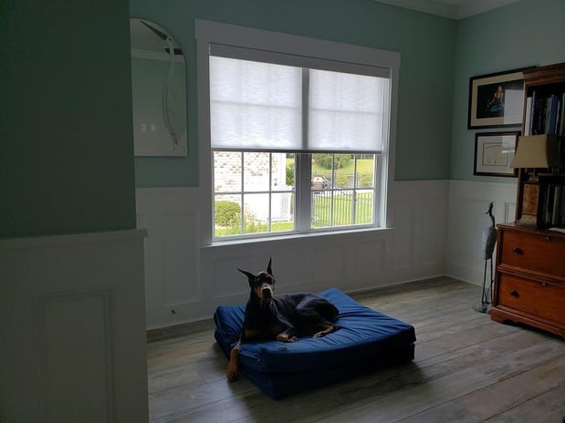 Images Budget Blinds of Pooler and Statesboro