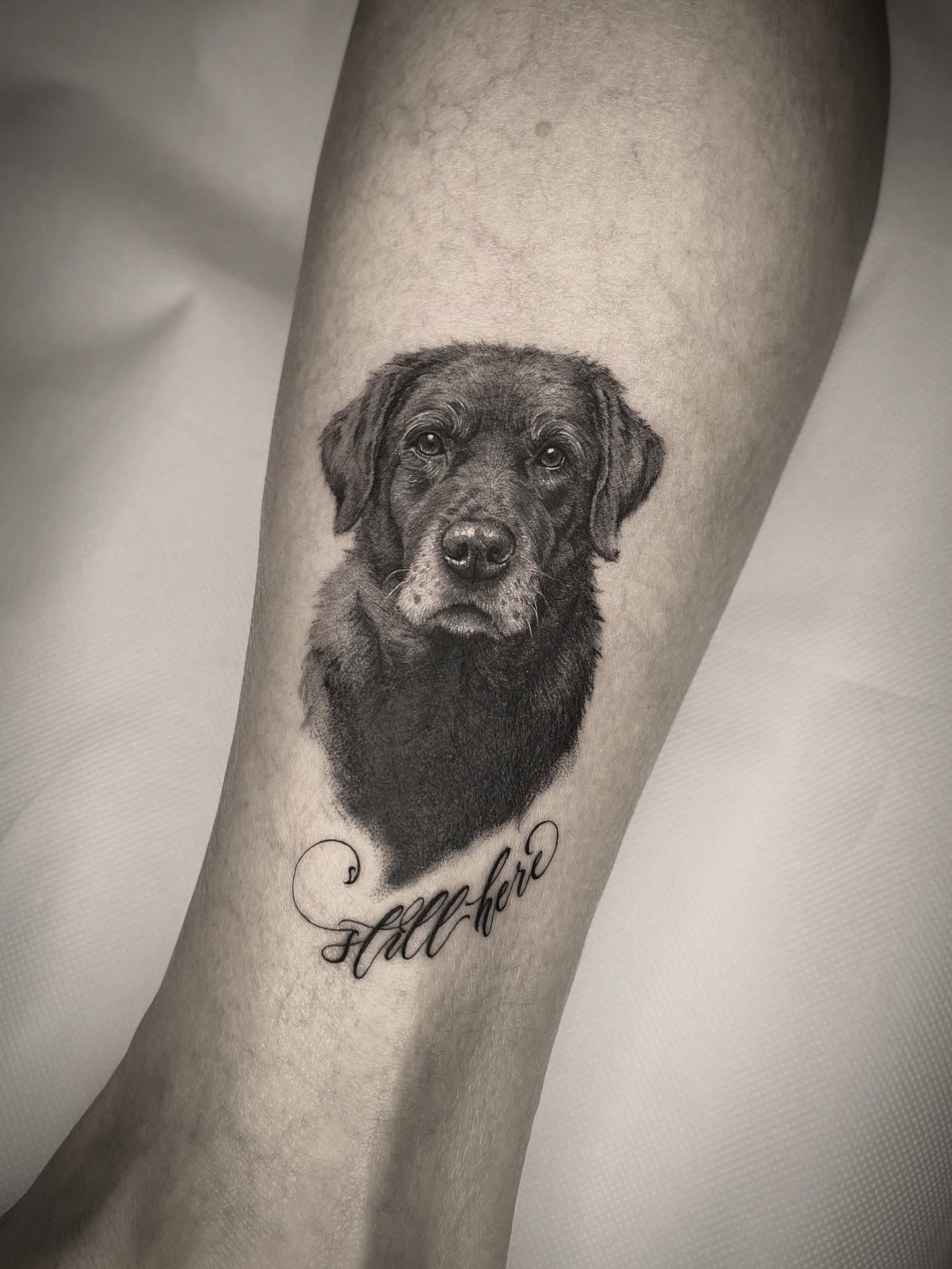 Bilder OMEN Tattoo & Piercing - Berlin Mitte