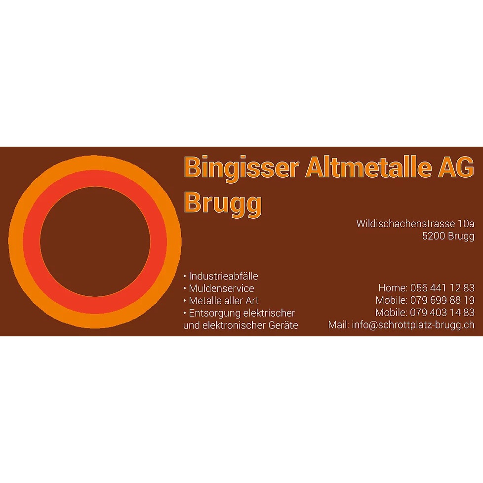 Bingisser Altmetalle AG Logo
