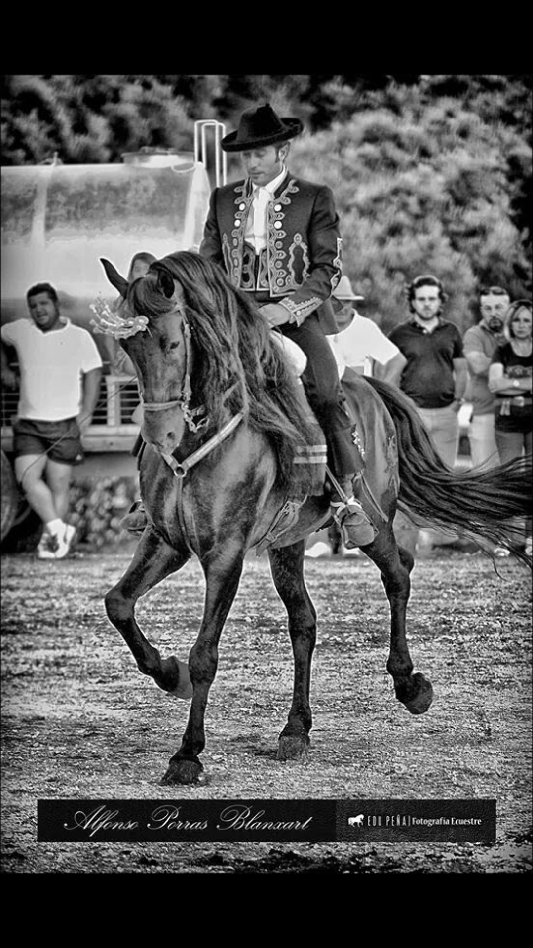 Images Escuela de Equitación Alfonso Porras Maestre