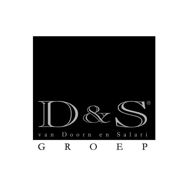 D&S Groep Logo