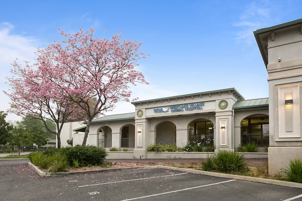 Images VCA Westlake Village Animal Hospital
