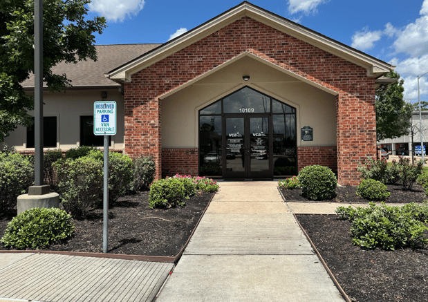 Images VCA Spring Branch Animal Hospital