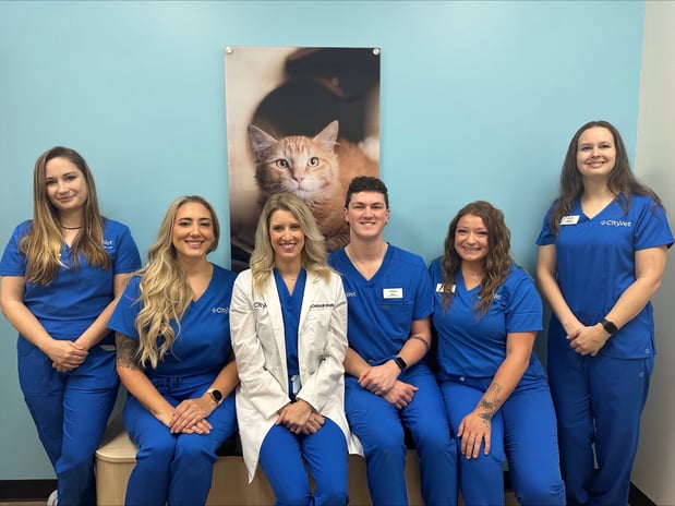 Images CityVet | Lake Worth