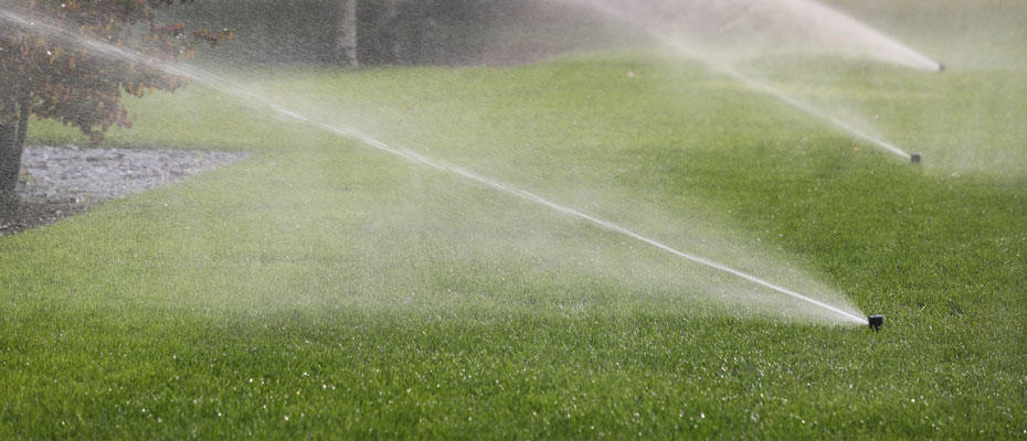 Water Sprinkler Rebates Colorado