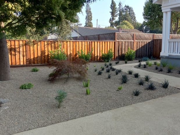 Images Paz Landscape