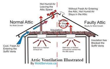 The Roofing Repair Experts Explain the Importance of Attic & Roof Ventilation