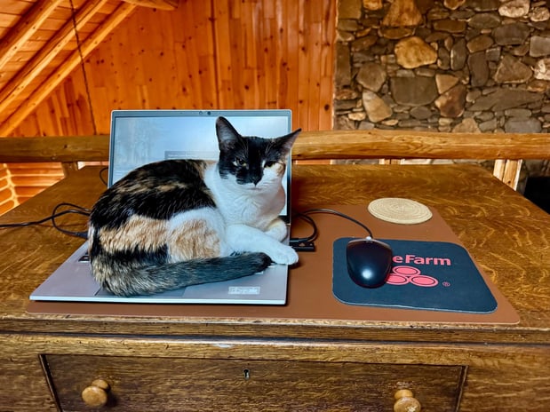 Images Edith Aldrich - State Farm Insurance Agent