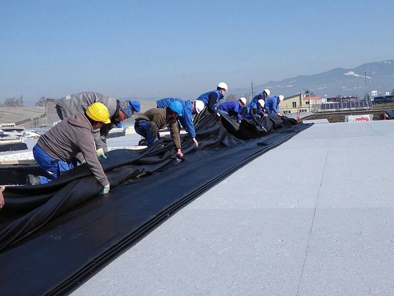 Fritz Gresser AG, Birkenstrasse 105 in Widnau