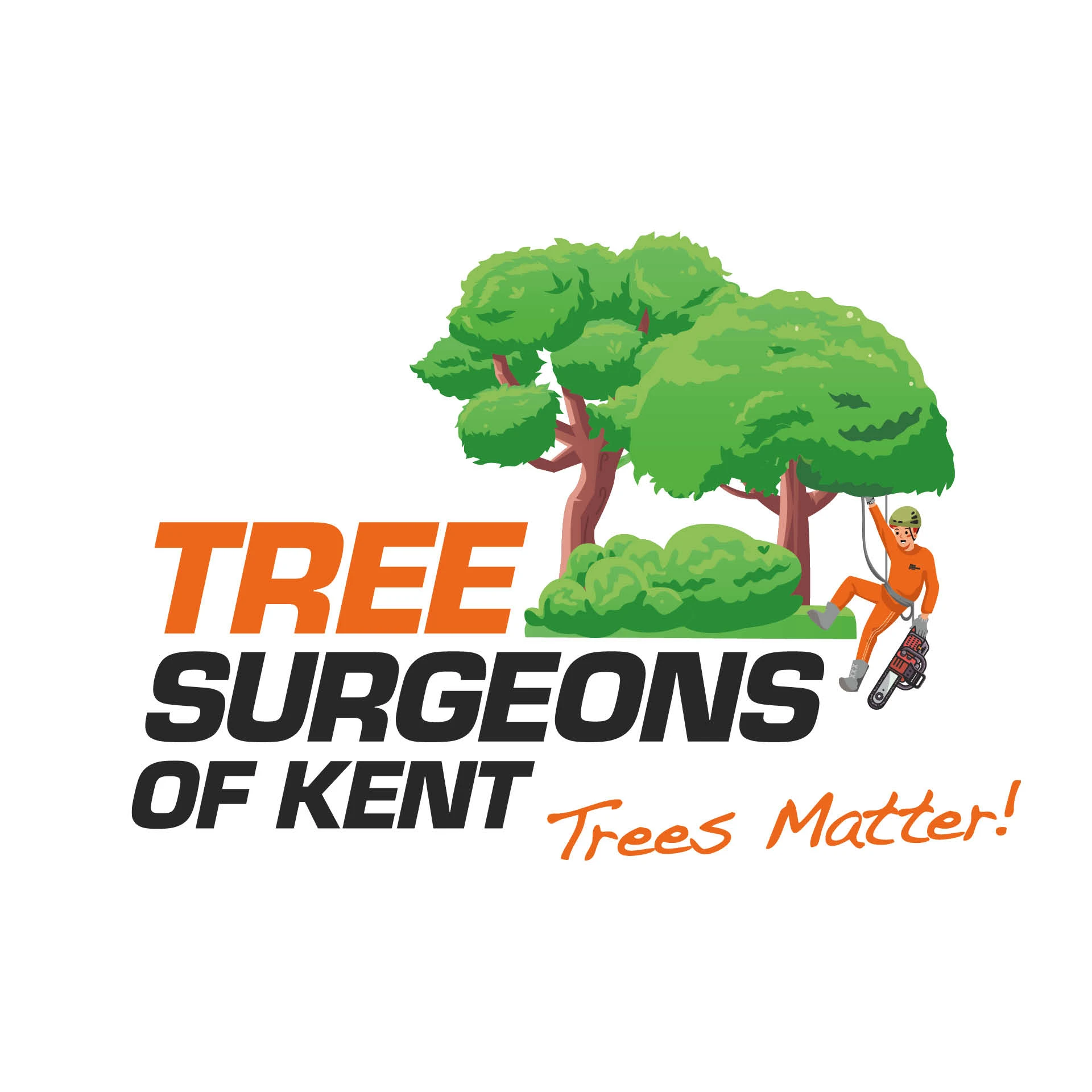 Tree Surgeons of Kent Maidstone 01622 534747
