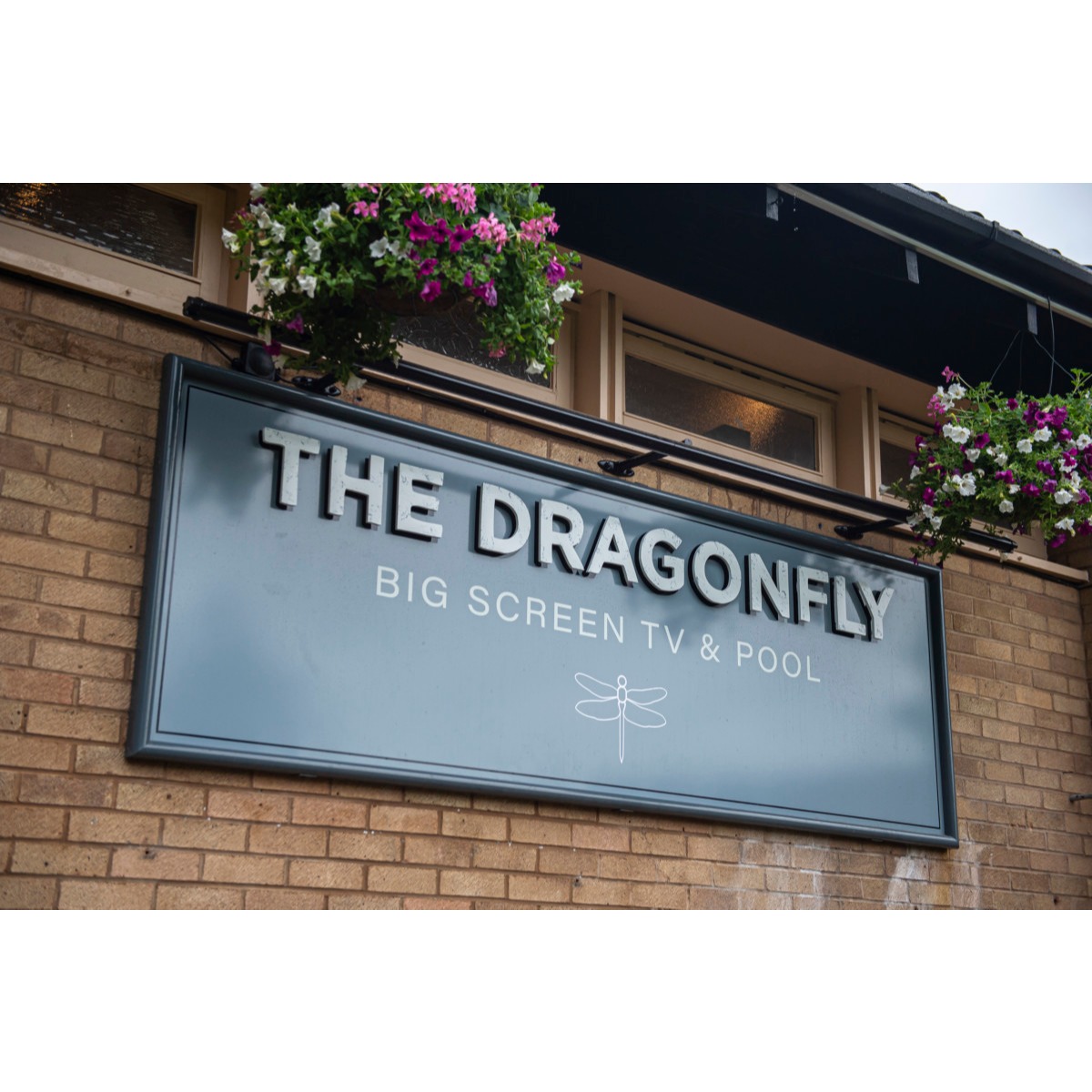 The Dragonfly Logo