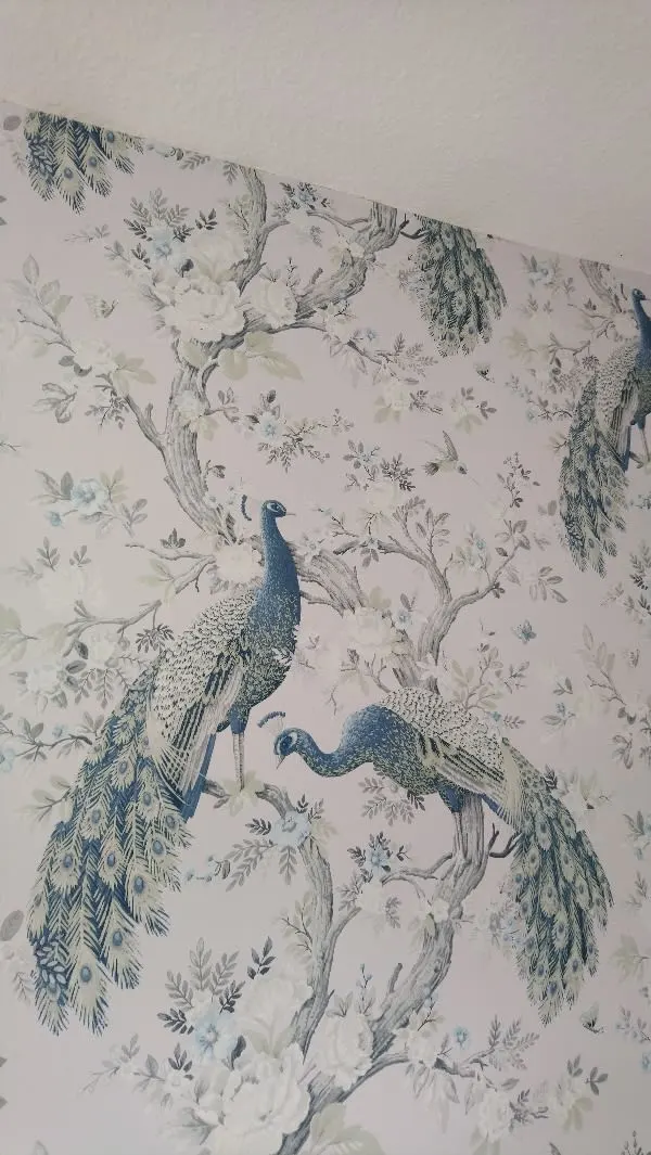Images Simon Scrimshaw Painting & Decorating