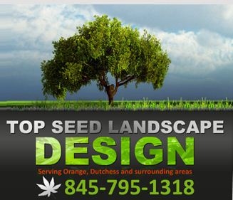 Images Top Seed Landscape Design Inc