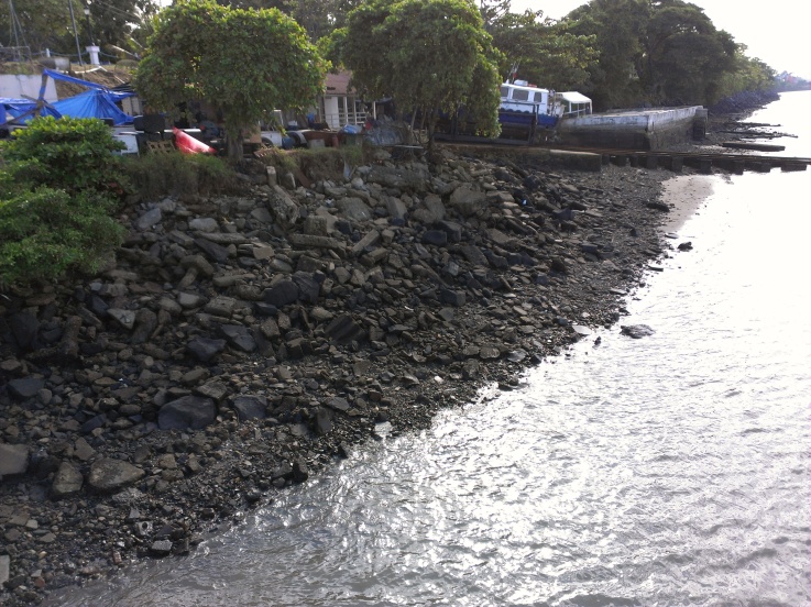 Panama Canal clean up areas in need of WOGI's Hydroclean.