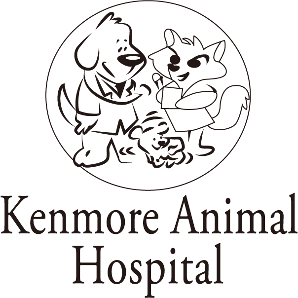 Kenmore Animal Hospital Logo