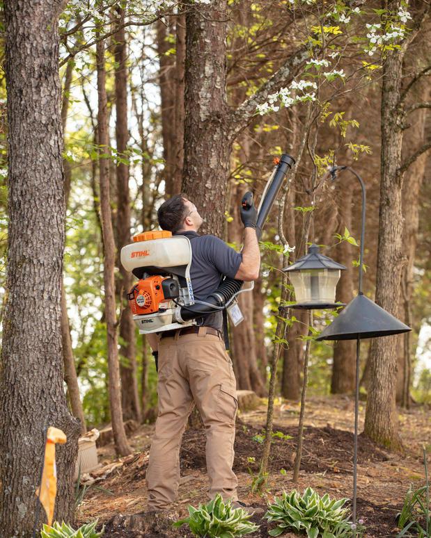 Images Pest Ops Pest Control
