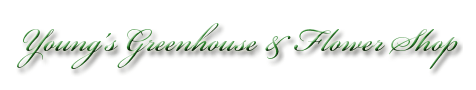 Young's Greenhouse & Flower Shop