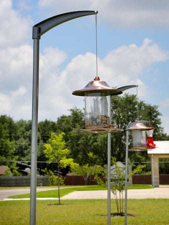 Images Mallard Creek Dental