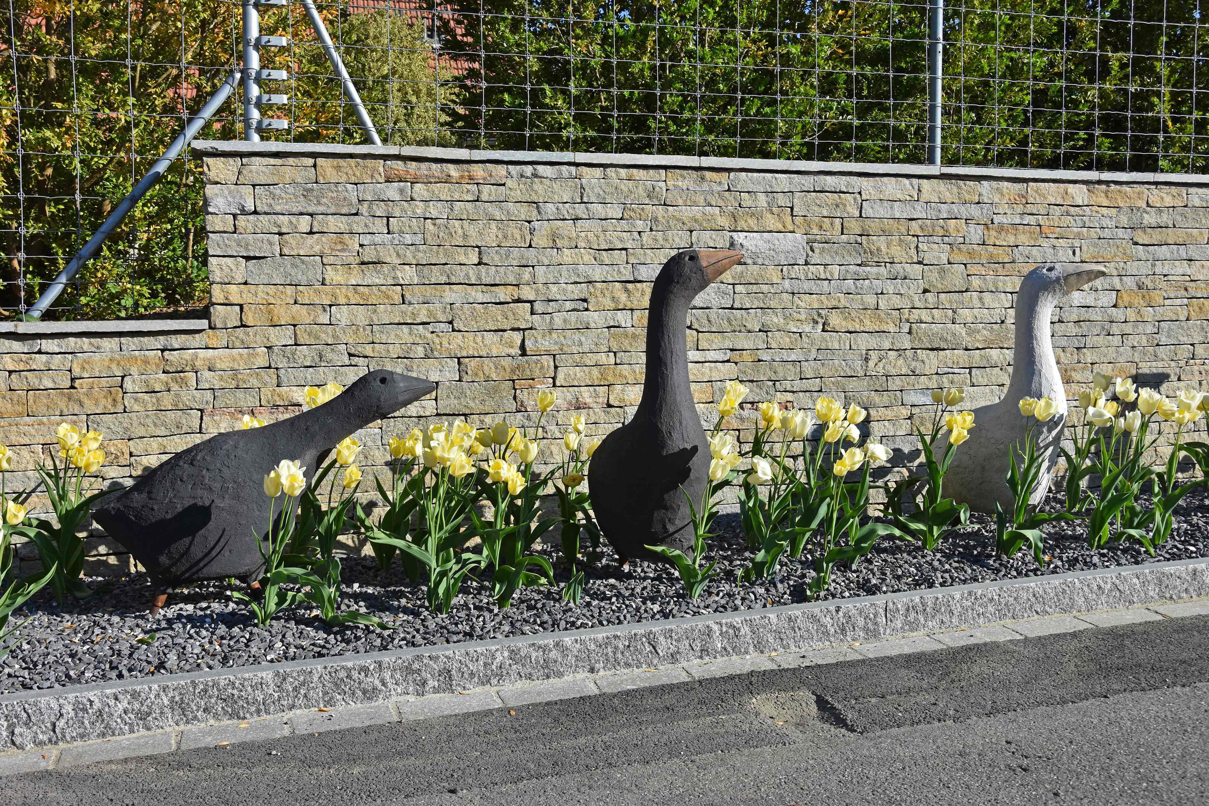 Bilder gartenbaumann AG