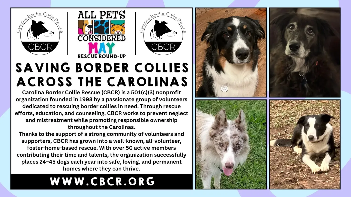 Image of Local Pet Event APC May Rescue Round-Up Nearby