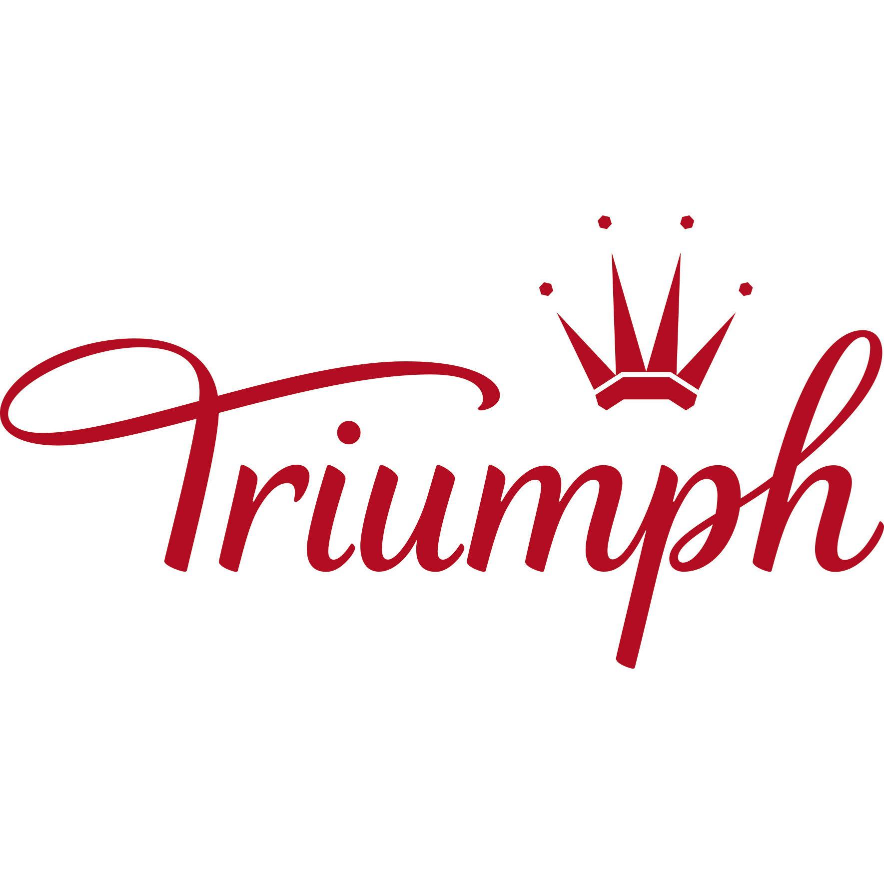 Triumph Lingerie Partner - Galeria Amber Logo