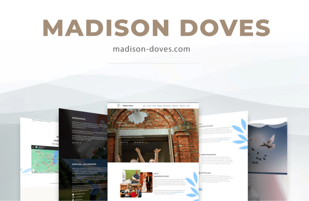 Images Syntha Digital Agency