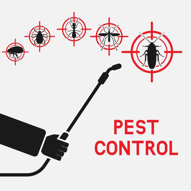 Images Ares Pest Control
