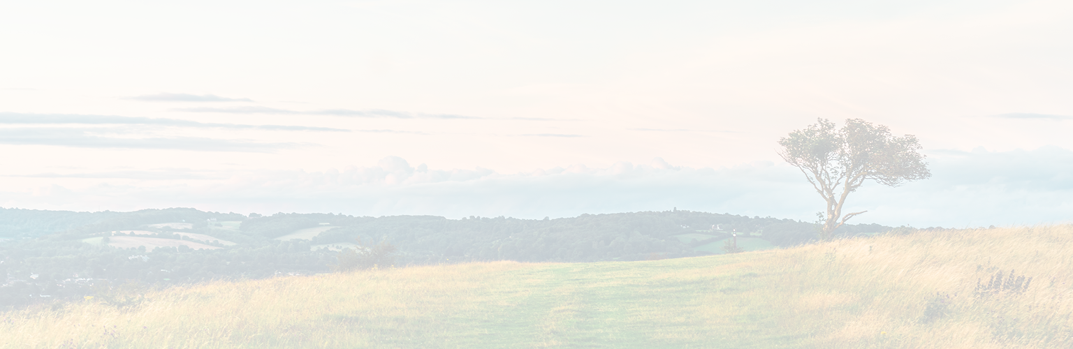 Wind rustling the tall grass on a scenic hillside.