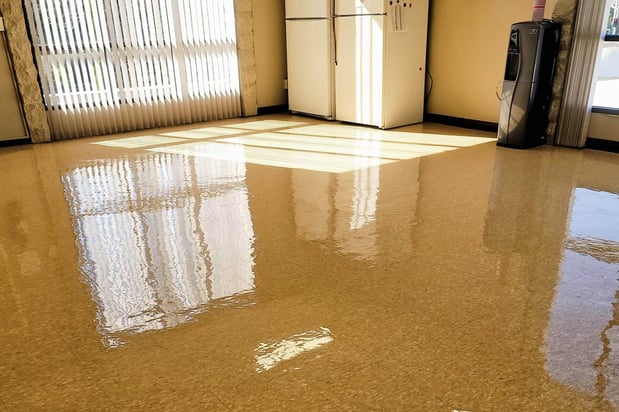 Images Pacific Coast Carpet Cleaning