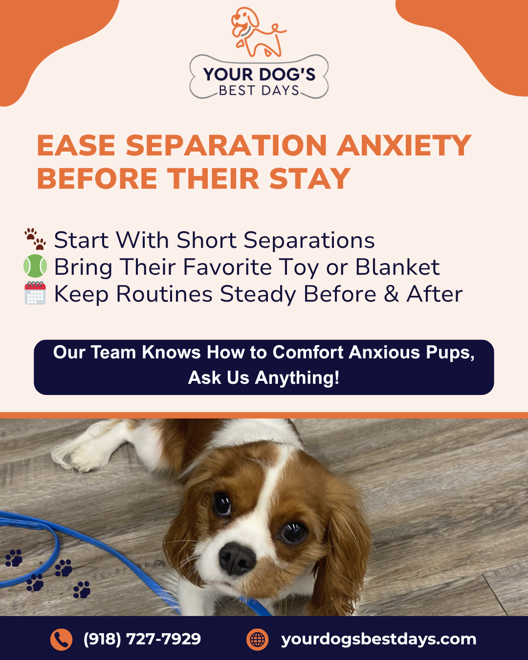 Separation anxiety boarding tip graphic highlighting extra playtime and dog daycare options to help dogs feel more comfortable during their stay.