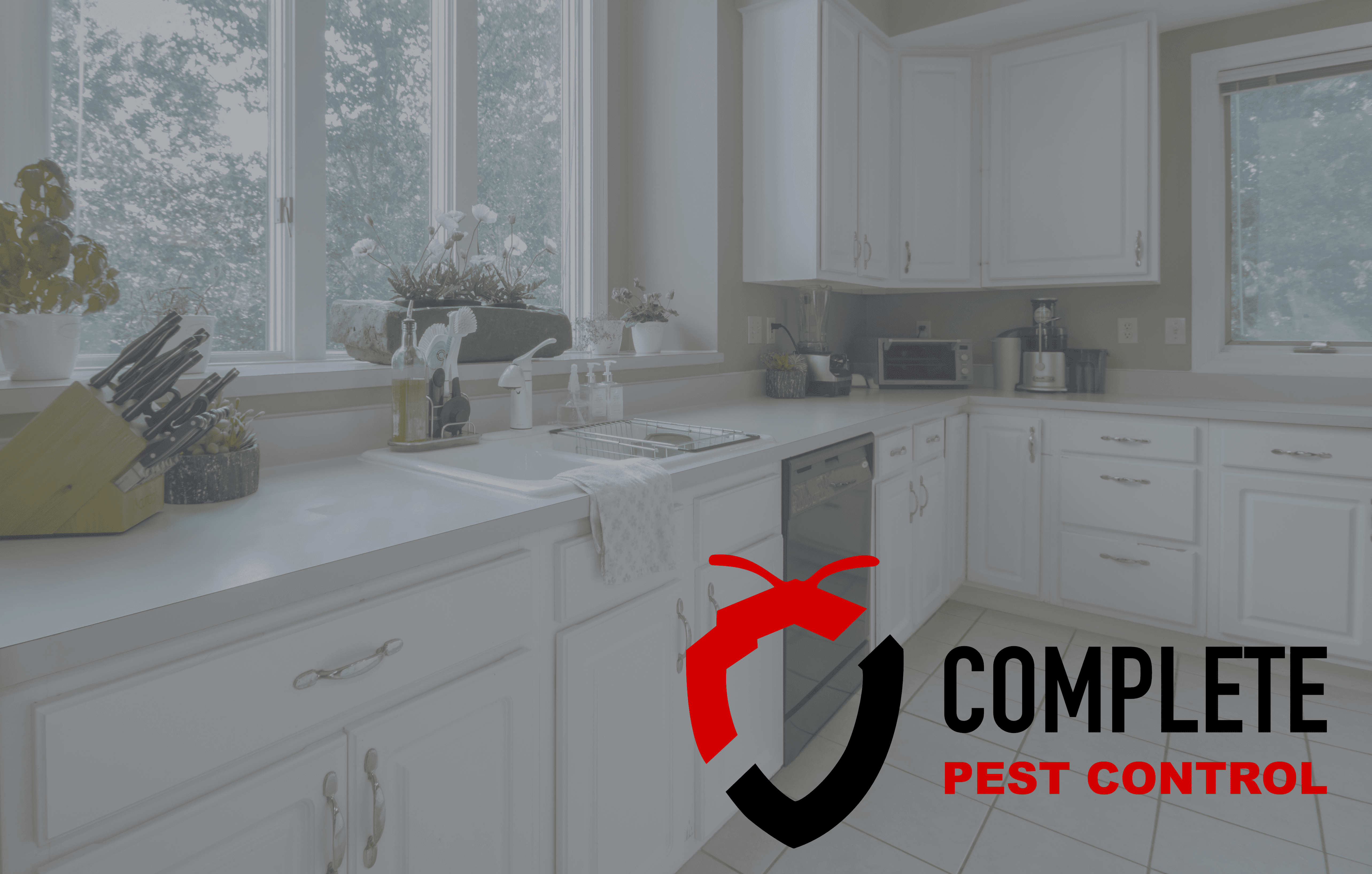 Images Complete Pest Control