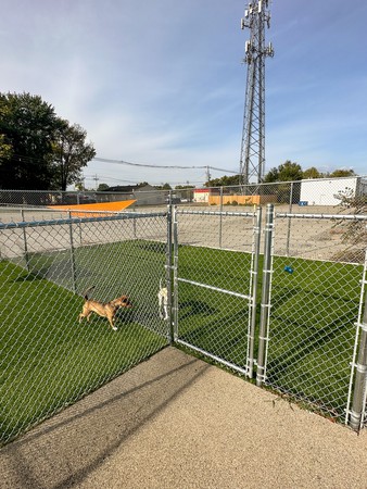 Images Feeders Pet Supply Boarding & Daycare