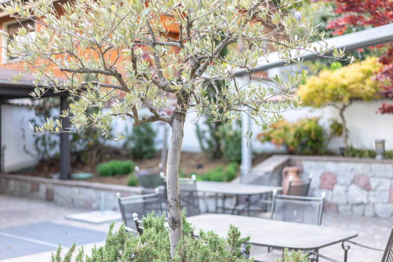 Images Wirtshaus Sapperlot