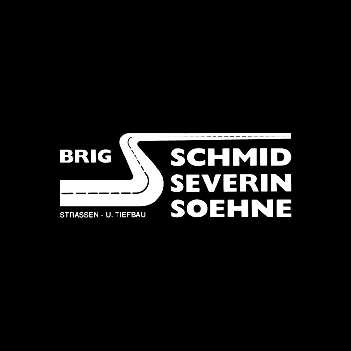Schmid Severin Söhne AG Logo
