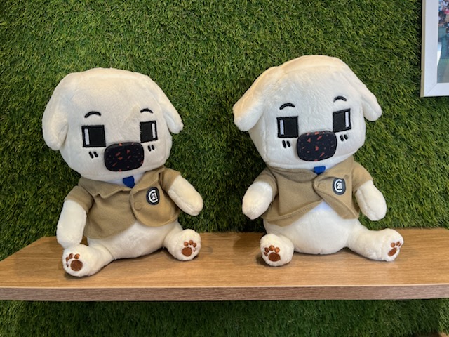Images センチュリー21W不動産販売