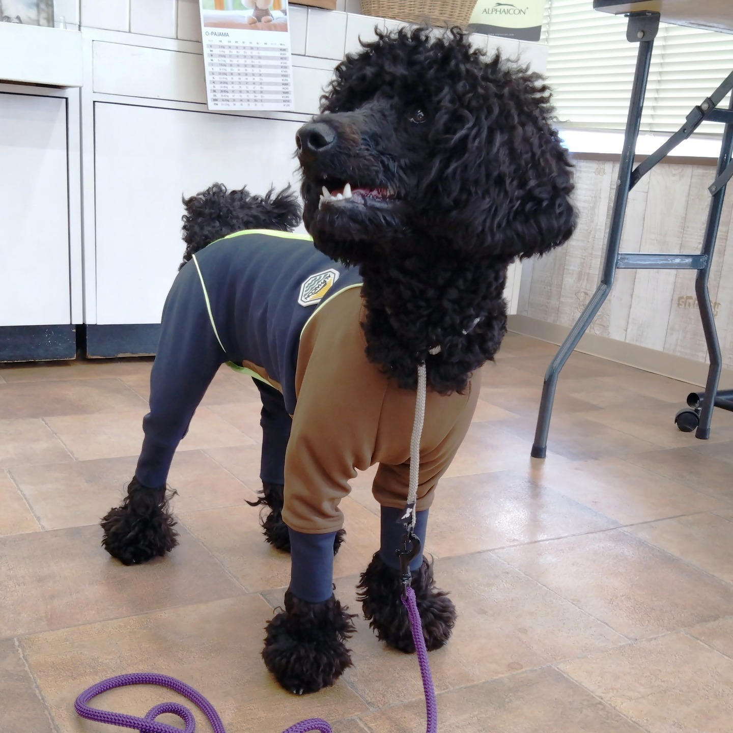 Images たまとポチ 宇津木店