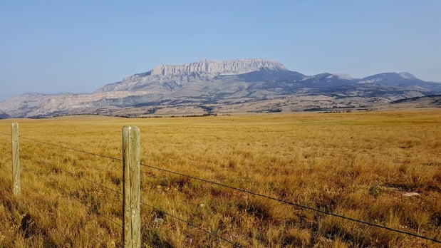 Images Staybridge Suites Great Falls by IHG